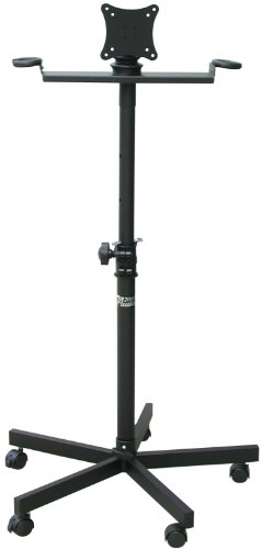 Audio2000'S AST420X Karaoke Stand with LCD Monitor
