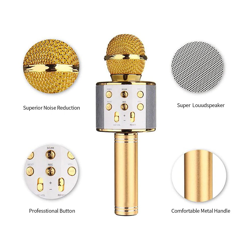 Wireless Bluetooth Karaoke Microphone for Kids & Teens