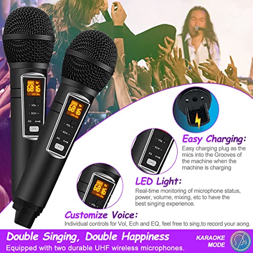 ALPOWL Karaoke Machine with LED Lights and 2 Microphones