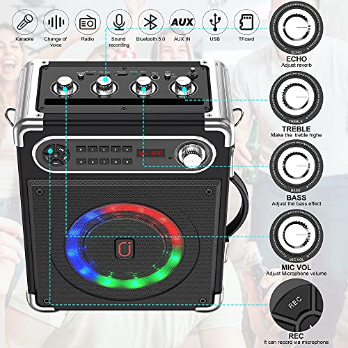 Wireless Karaoke Machine with Adjustable Bass/Treble, LED Lights