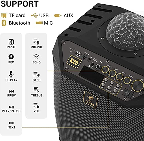 Tonor Wireless Karaoke Machine with Dual Microphones