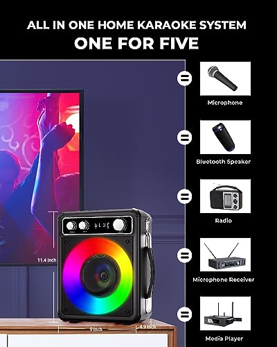 Portable Bluetooth Karaoke Speaker with 2 Wireless Microphones