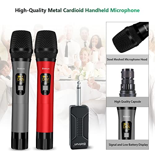 Dual Wireless Microphone Set for Karaoke Fun