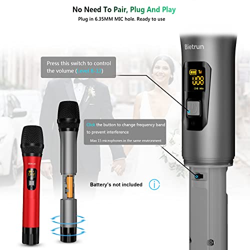 Dual Wireless Microphone Set for Karaoke Fun