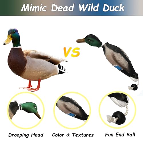 2 Pack Duck Bumper Toys for Dog Training