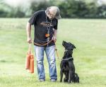 SportDOG Canvas Dummies - Weighted Training Bumper