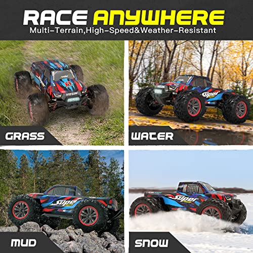 Hosim High Speed Brushless RC Car