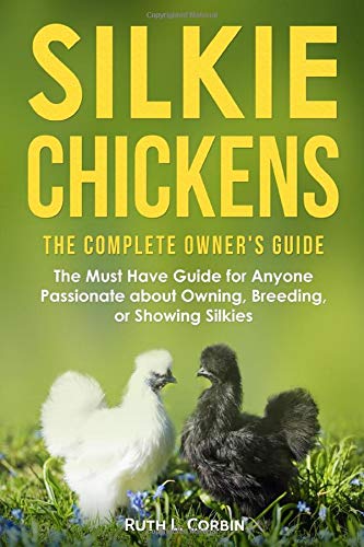 Silkie Chickens: Essential Owner’s Guide