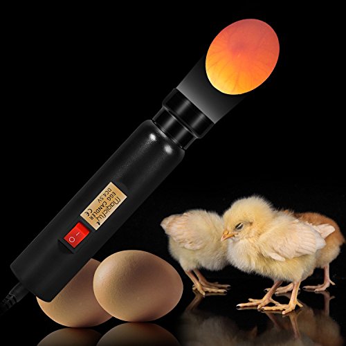 Magicfly LED Egg Candler Tester - Bright & Reliable