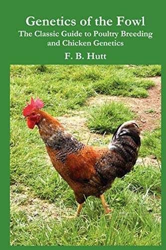 Classic Guide to Chicken Genetics and Breeding