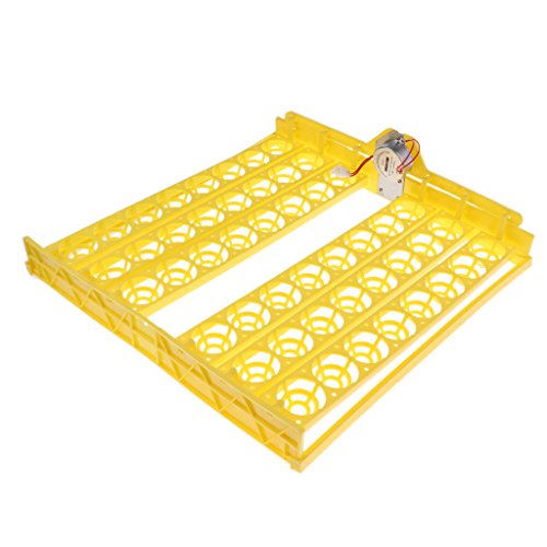 48-digital Auto Egg Turner for Chickens