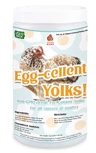 Organic Chicken and Duck Feed Supplement (5 pounds)