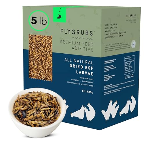 FLYGRUBS Non-GMO Chicken Feed with Extra Calcium (5lb)