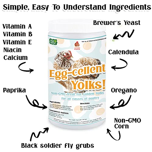 Organic Chicken and Duck Feed Supplement (5 pounds)