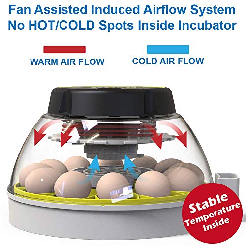 12 Egg Incubator with Humidity Display and Turner