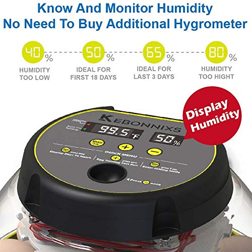 12 Egg Incubator with Humidity Display and Turner