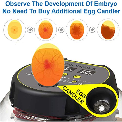 12 Egg Incubator with Humidity Display and Turner