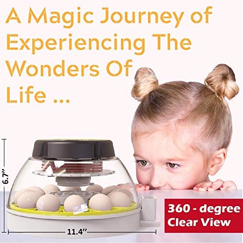 12 Egg Incubator with Humidity Display and Turner
