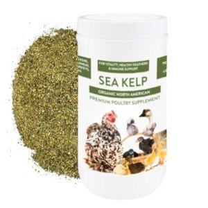 Organic Kelp: Vitamin Supplement for Chickens & Ducks