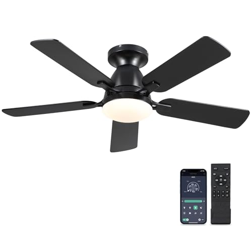 46" Low Profile Ceiling Fan with Lights & Remote (Black)