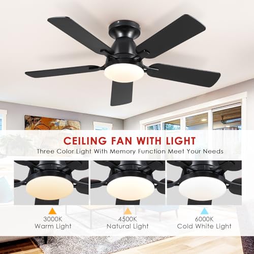 46" Low Profile Ceiling Fan with Lights & Remote (Black)