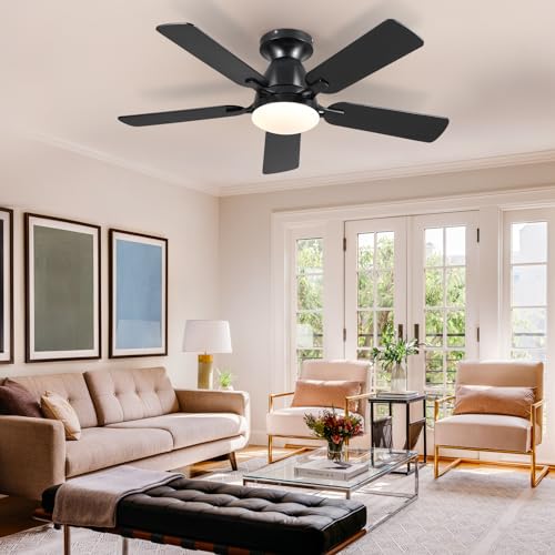 46" Low Profile Ceiling Fan with Lights & Remote (Black)