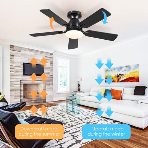 46" Low Profile Ceiling Fan with Lights & Remote (Black)