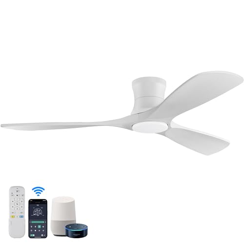 Hoenofly 52" Smart Low Profile Ceiling Fan with Lights, Remote, WIFI Alexa App