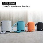 Sony SRS-XB100 Portable Waterproof Bluetooth Speaker