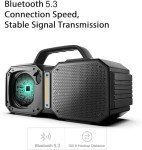 BUGANI 60W Waterproof Bluetooth 5.3 Speaker