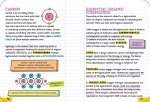 Everything You Need to Ace Biology in One Big Fat Notebook (Big Fat Notebooks)