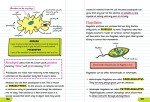 Everything You Need to Ace Biology in One Big Fat Notebook (Big Fat Notebooks)