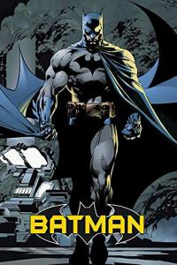Batman Dark Knight Walking Night Poster - 24"x36