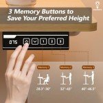 Ergonomic Height Adjustable Electric Standing Desk