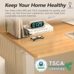 Ergonomic Height Adjustable Electric Standing Desk