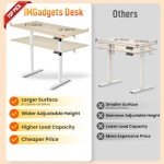 Ergonomic Height Adjustable Electric Standing Desk