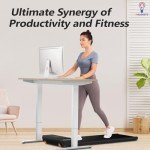 Ergonomic Height Adjustable Electric Standing Desk