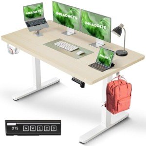 Ergonomic Height Adjustable Electric Standing Desk