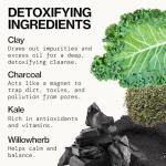 Pacifica Kale Charcoal Detox Face Mask 2.25 oz