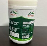 Western Ghats Organic Moringa Leaf Powder