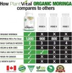 PlantVital Organic Moringa Leaf Capsules - 120 Count