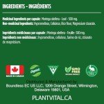 PlantVital Organic Moringa Leaf Capsules - 120 Count