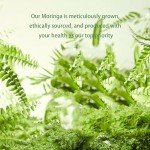 Moringa Capsules & Powder - 800 mg Wellness Boost