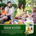 Moringa Oleifera Capsules 500MG - 100ct Non-GMO