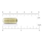 Moringa Leaf Extract 10:1, 5,000 mg, 120 Capsules