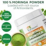 Organic Moringa Leaf Powder – 240 Grams
