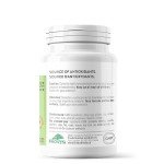 Provita Nutrition Moringa Forte - 60 Capsules