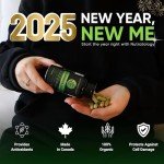 Organic Moringa Leaf Capsules - 1200MG Antioxidants