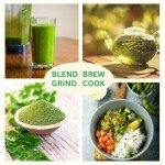 Organic Moringa Leaf Tea - 375g Loose Cut