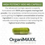 Organic Moringa Capsules 1200mg - Gut Health Boost